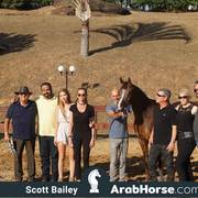 Haras Cruzeiro Open House 2018 Brazil 