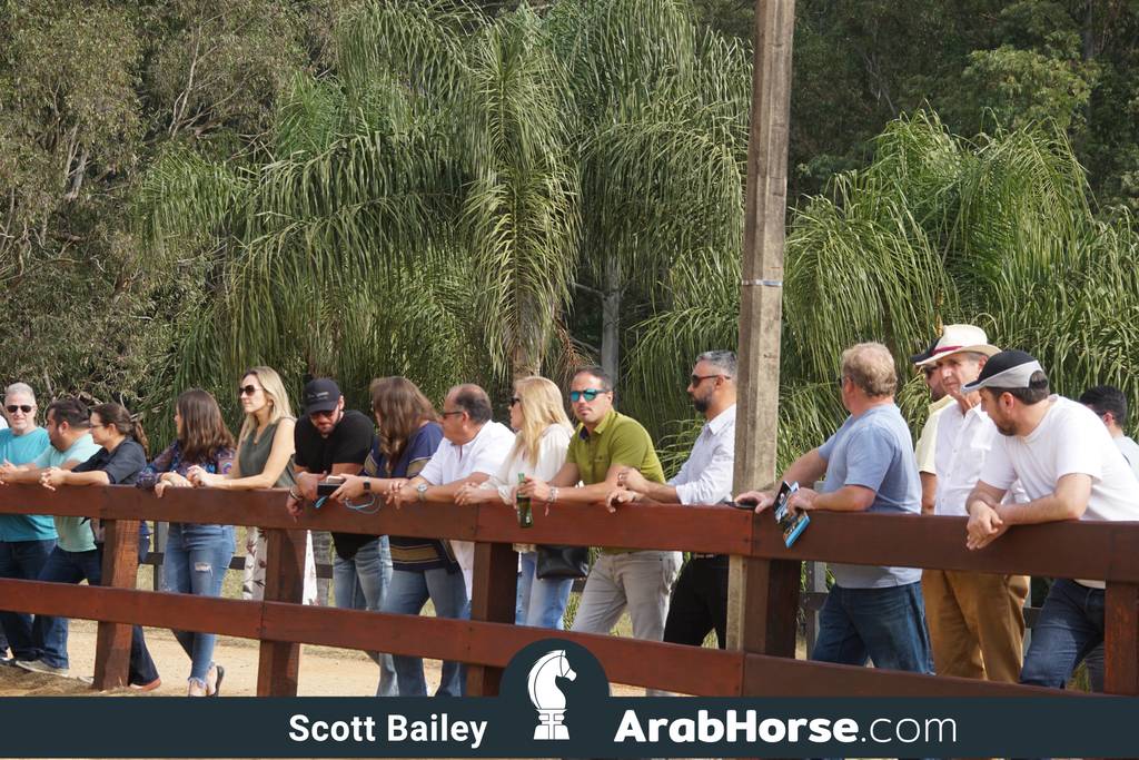 Haras Cruzeiro Open House 2018 Brazil 