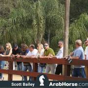 Haras Cruzeiro Open House 2018 Brazil 