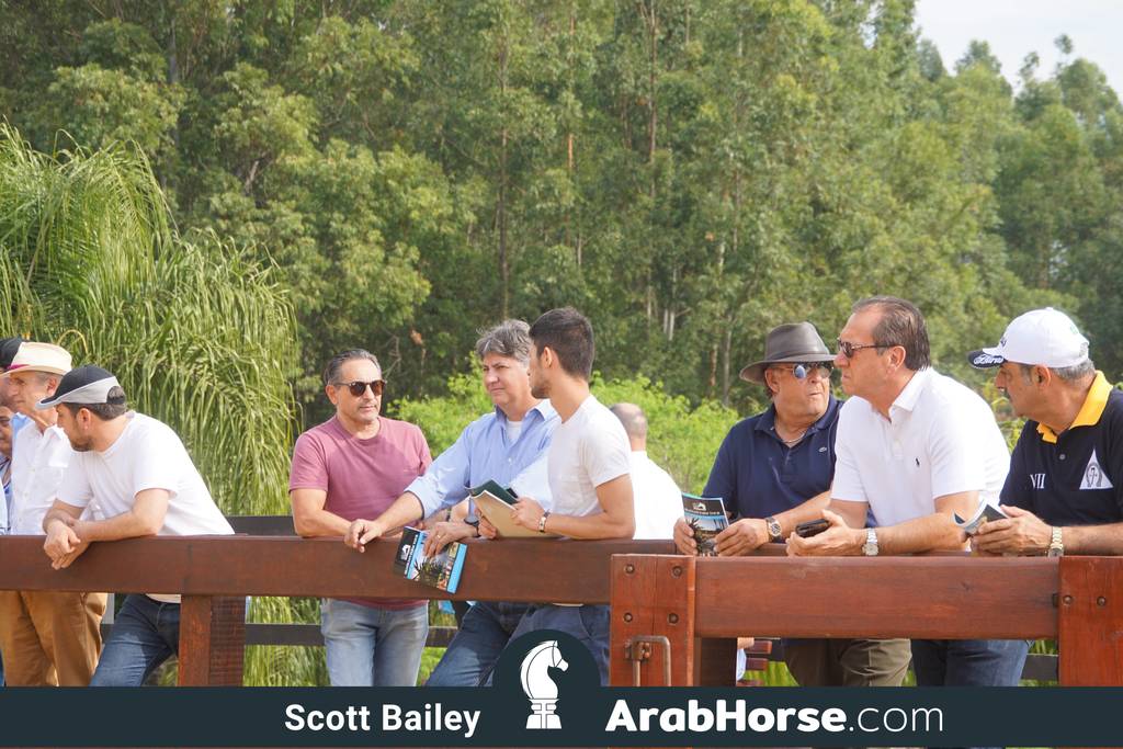 Haras Cruzeiro Open House 2018 Brazil 