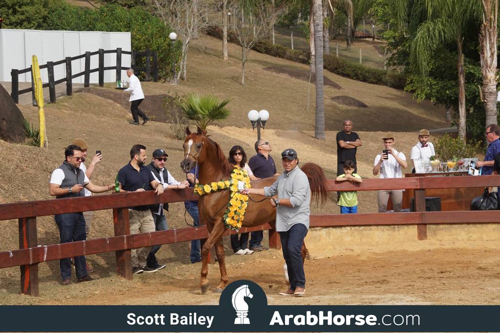Haras Cruzeiro Open House 2018 Brazil 