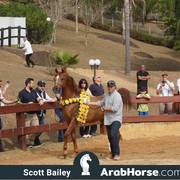 Haras Cruzeiro Open House 2018 Brazil 
