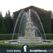 Haras HVP Open House 2018 Brazil 