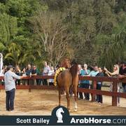 Haras Cruzeiro Open House 2018 Brazil 