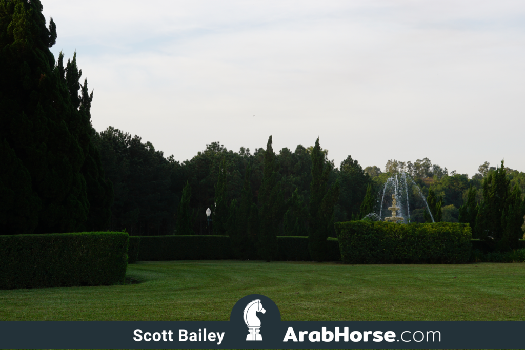 Haras HVP Open House 2018 Brazil 