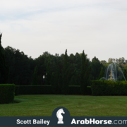 Haras HVP Open House 2018 Brazil 