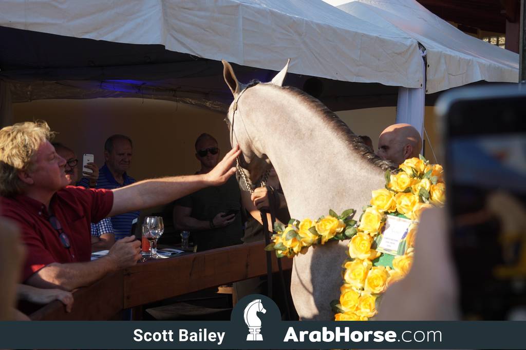 Haras Cruzeiro Open House 2018 Brazil 