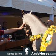 Haras Cruzeiro Open House 2018 Brazil 