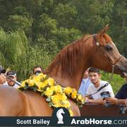 Haras Cruzeiro Open House 2018 Brazil 