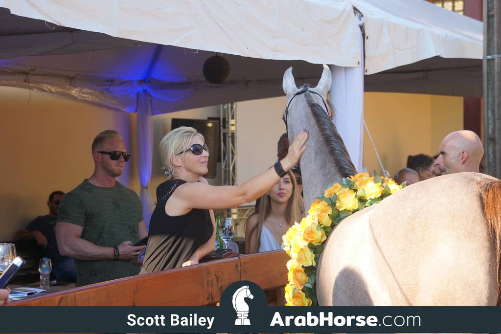 Haras Cruzeiro Open House 2018 Brazil 