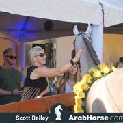 Haras Cruzeiro Open House 2018 Brazil 