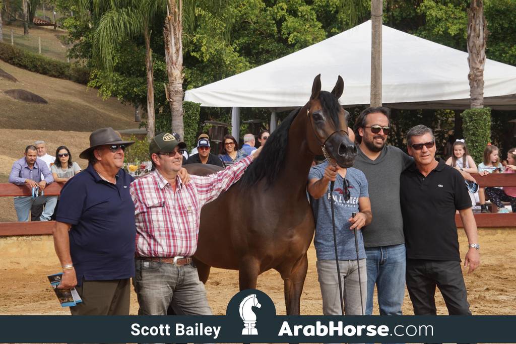 Haras Cruzeiro Open House 2018 Brazil 
