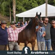 Haras Cruzeiro Open House 2018 Brazil 