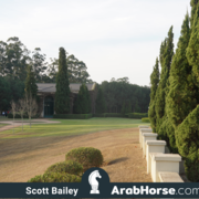 Haras HVP Open House 2018 Brazil 