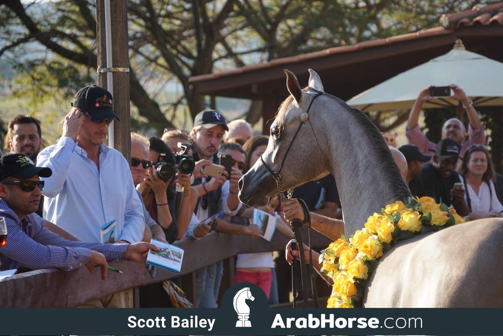 Haras Cruzeiro Open House 2018 Brazil 