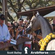 Haras Cruzeiro Open House 2018 Brazil 