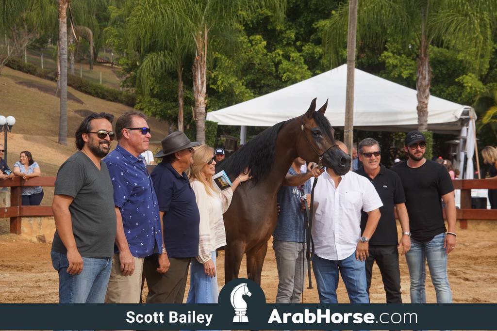 Haras Cruzeiro Open House 2018 Brazil 