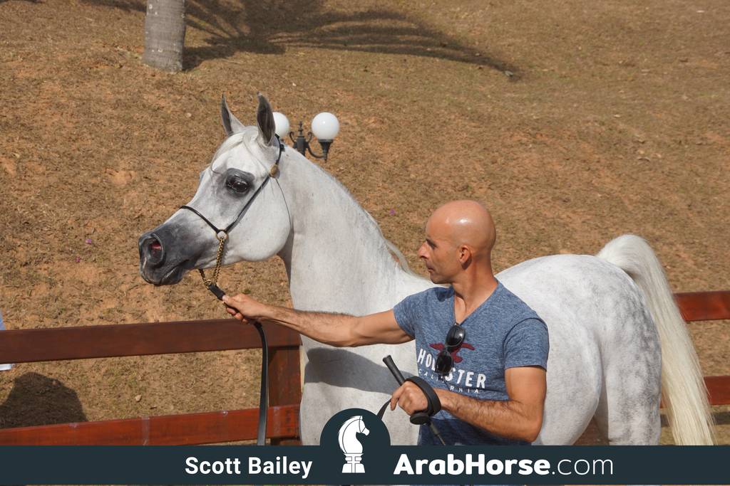 Haras Cruzeiro Open House 2018 Brazil 