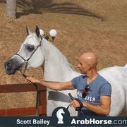 Haras Cruzeiro Open House 2018 Brazil 