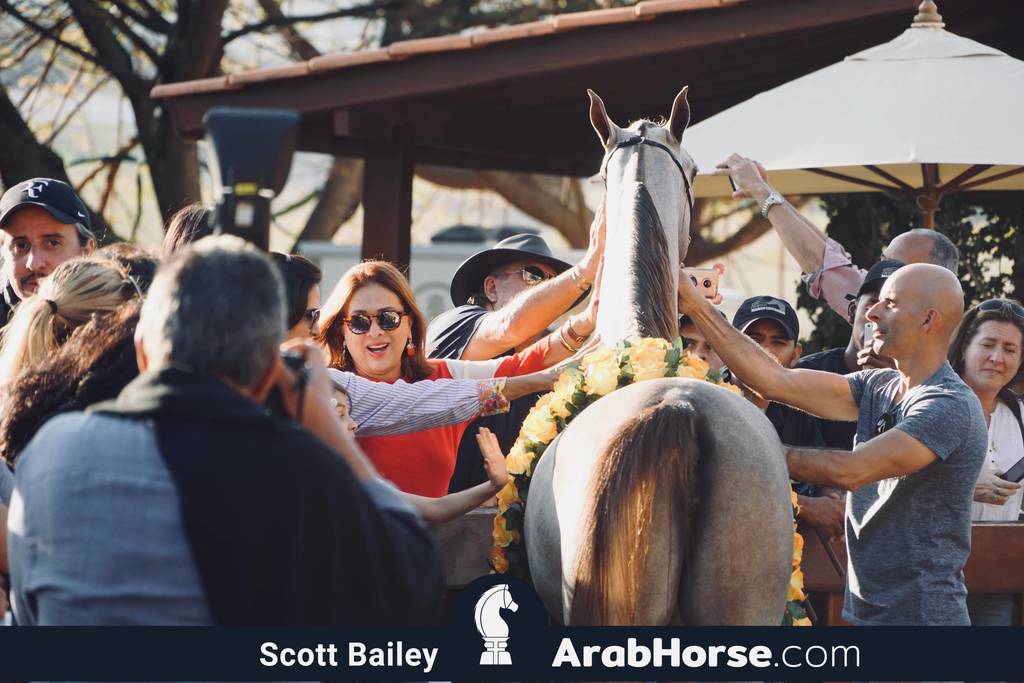 Haras Cruzeiro Open House 2018 Brazil 