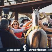 Haras Cruzeiro Open House 2018 Brazil 