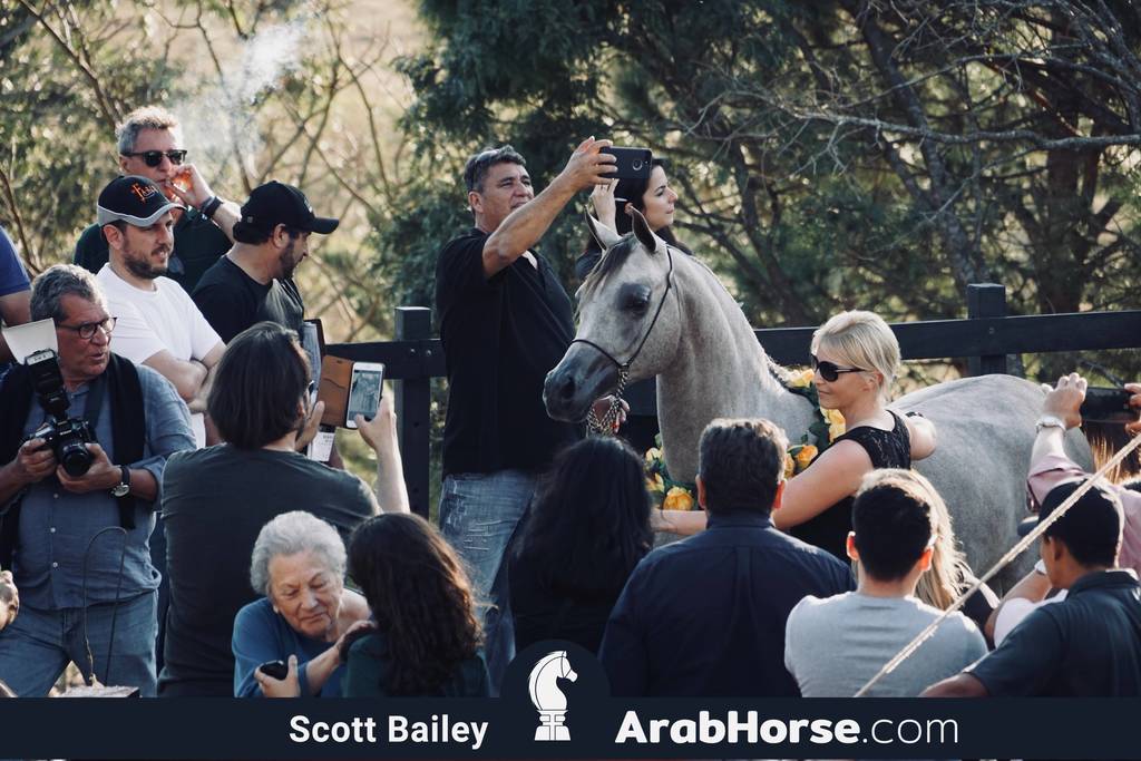 Haras Cruzeiro Open House 2018 Brazil 