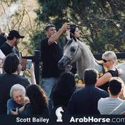 Haras Cruzeiro Open House 2018 Brazil 
