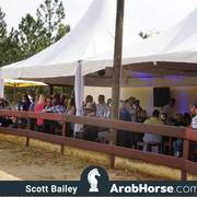 Haras Cruzeiro Open House 2018 Brazil 