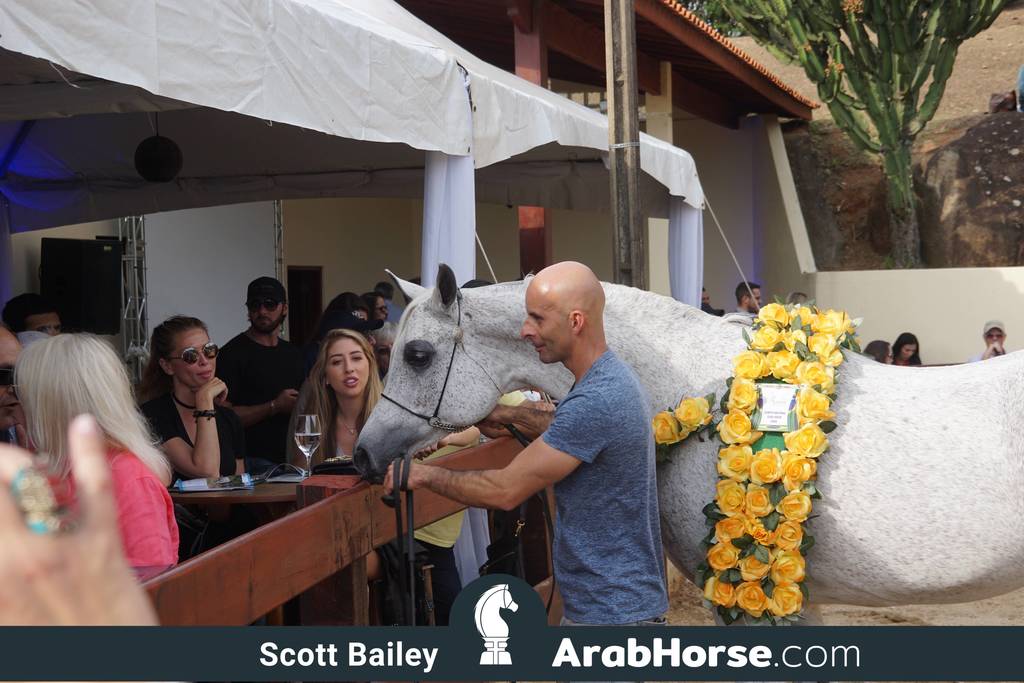 Haras Cruzeiro Open House 2018 Brazil 