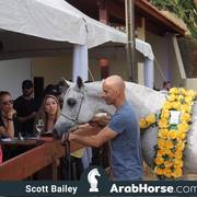 Haras Cruzeiro Open House 2018 Brazil 