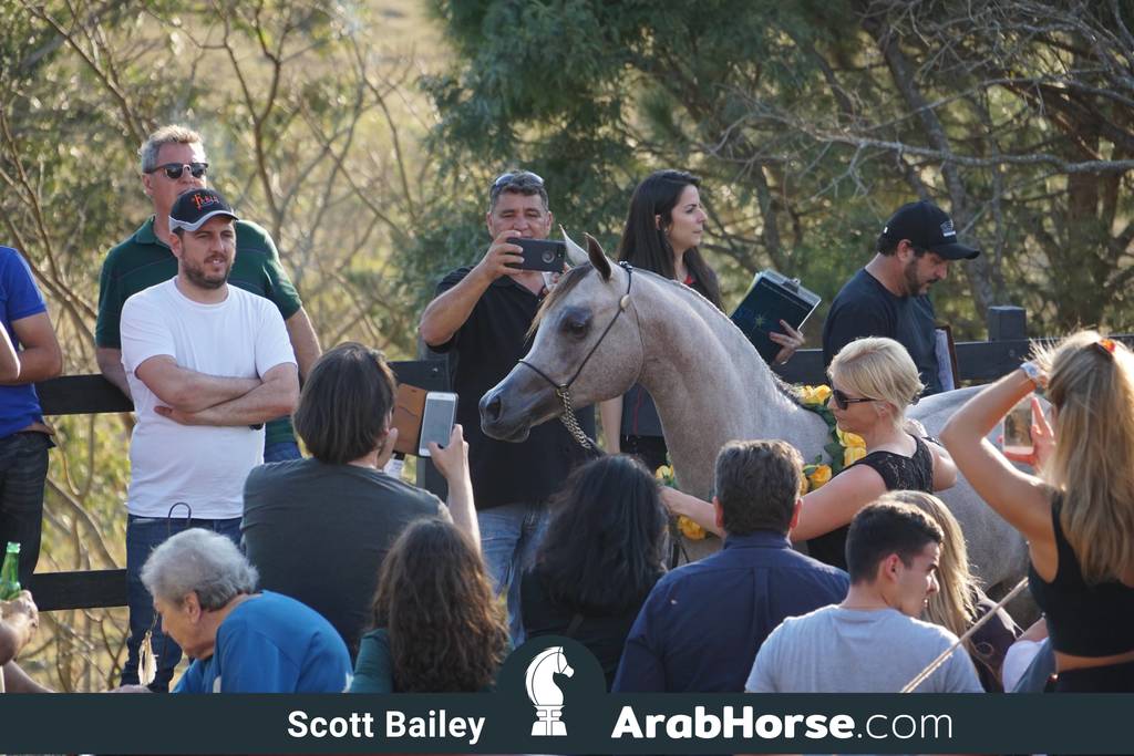 Haras Cruzeiro Open House 2018 Brazil 