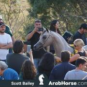 Haras Cruzeiro Open House 2018 Brazil 