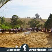 Haras Cruzeiro Open House 2018 Brazil 