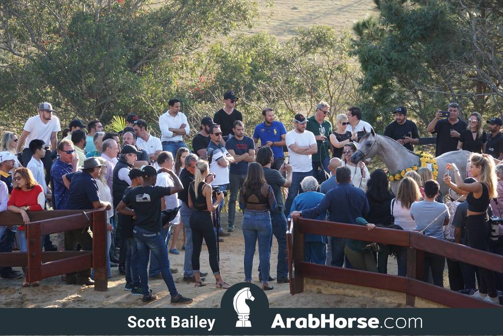 Haras Cruzeiro Open House 2018 Brazil 