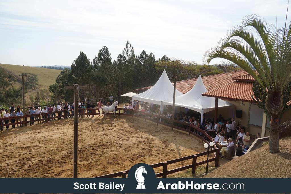 Haras Cruzeiro Open House 2018 Brazil 