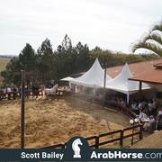 Haras Cruzeiro Open House 2018 Brazil 