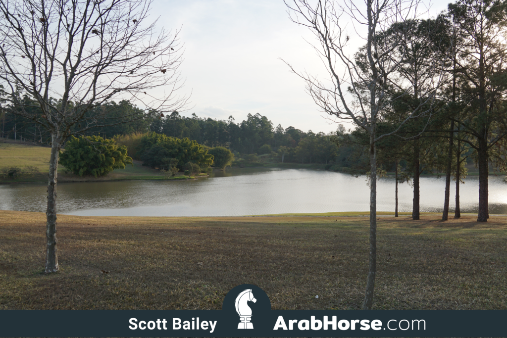 Haras HVP Open House 2018 Brazil 