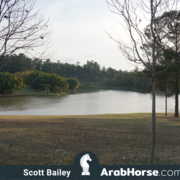 Haras HVP Open House 2018 Brazil 