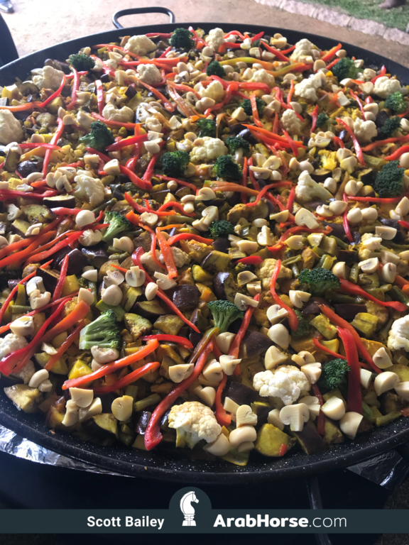 Haras HVP Open House 2018 Brazil 