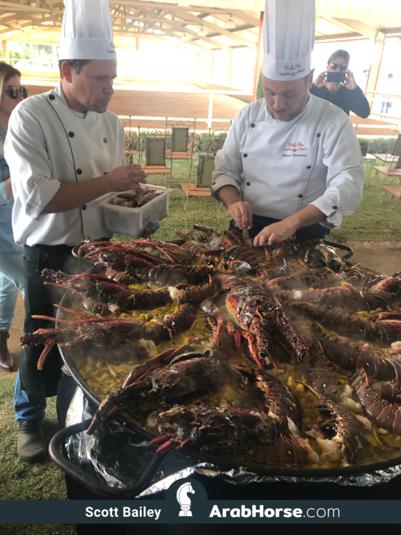 Haras HVP Open House 2018 Brazil 