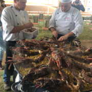 Haras HVP Open House 2018 Brazil 