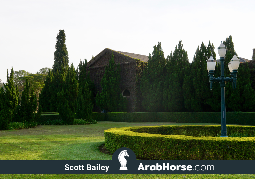 Haras HVP Open House 2018 Brazil 