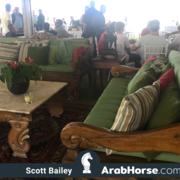 Haras HVP Open House 2018 Brazil 