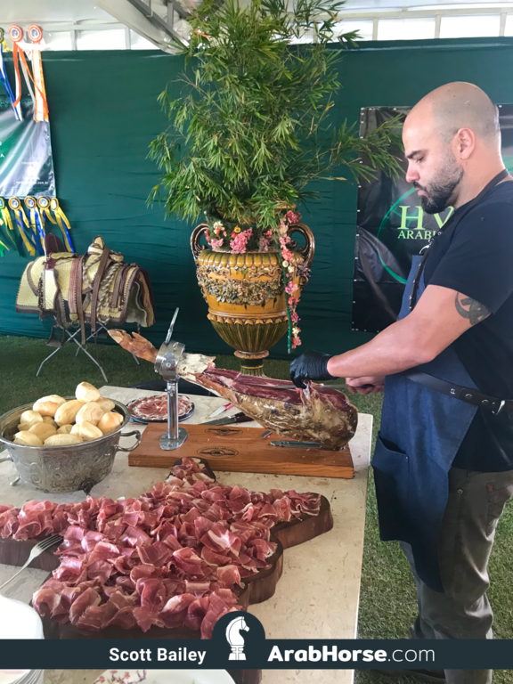Haras HVP Open House 2018 Brazil 