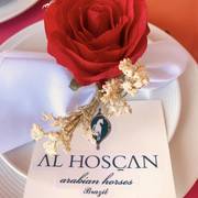 Haras Al Hoscan OPEN HOUSE 2018 BRAZIL