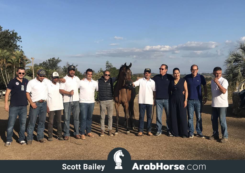 Haras Al Hoscan OPEN HOUSE 2018 BRAZIL