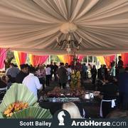 Haras Al Hoscan OPEN HOUSE 2018 BRAZIL