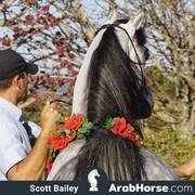Haras Al Hoscan OPEN HOUSE 2018 BRAZIL