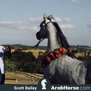 Haras Al Hoscan OPEN HOUSE 2018 BRAZIL
