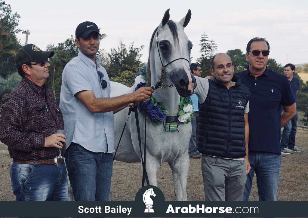 Haras Al Hoscan OPEN HOUSE 2018 BRAZIL
